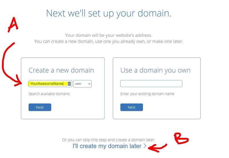 choose your blog domain name