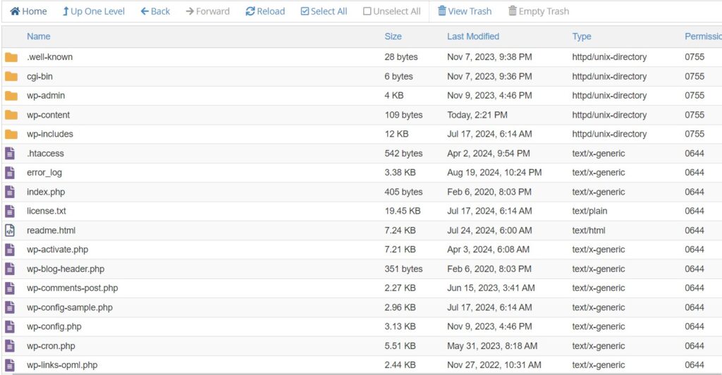 WordPress files on a web hosting server