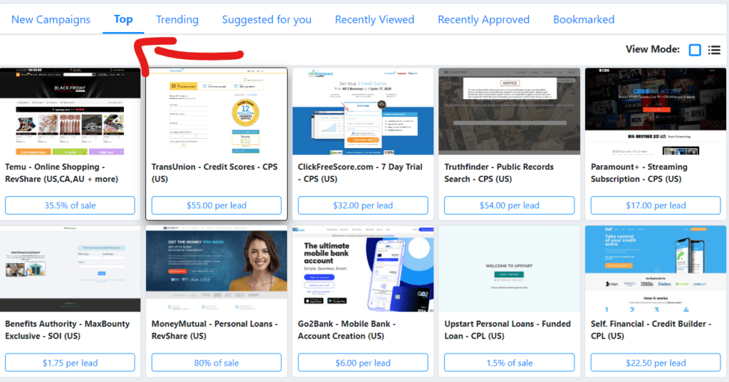 Check the "Top Offers" Section In Your Affiliate Network